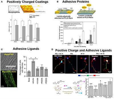 Microenvironments Designed to Support Growth and Function of Neuronal Cells